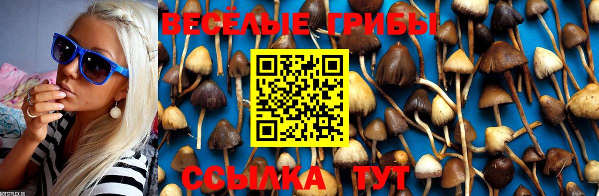 Апшеронск  Галлюциногенные грибы Magic Shrooms  Вход с VPN  купить  сайты  Псилоцибиновые грибы Psilocybine cubensis 