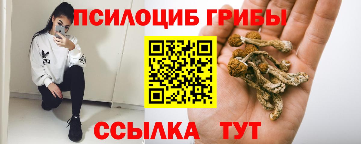 Псилоцибиновые грибы Cubensis Апшеронск